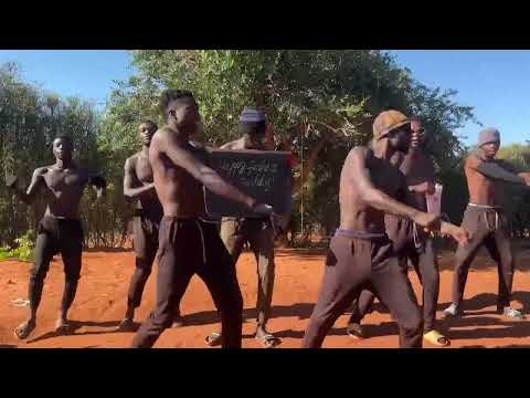 Wolf video greeting performance